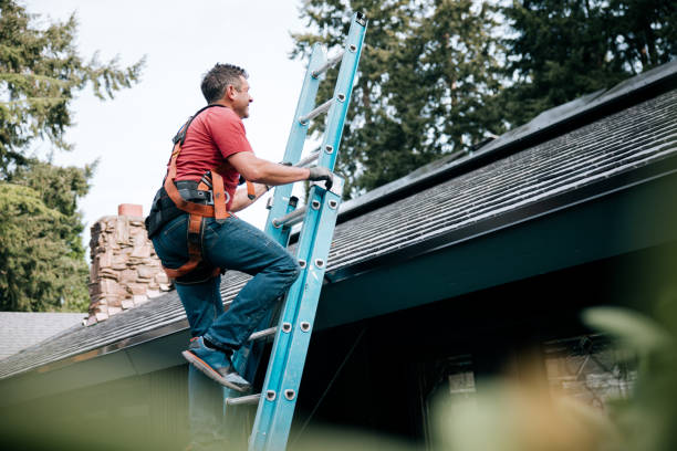 Best Skylight Installation and Repair  in Greenup, KY